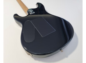 Music Man Steve Morse SM-Y2D (71496)