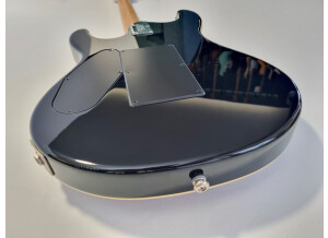 Music Man Steve Morse SM-Y2D (44436)