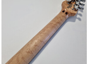 Music Man Steve Morse SM-Y2D (40638)