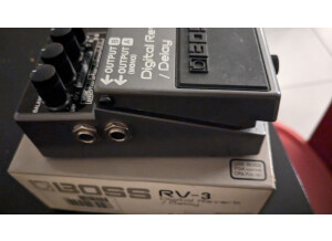 Boss RV-3 Digital Reverb/Delay (70695)