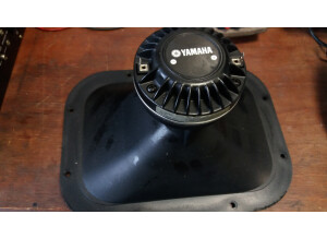 Yamaha DSR112 (23342)