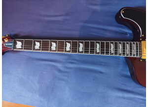 Guitare  ESP LTD Deluxe Phoenix-1000 See Thru Black Cherry (4)