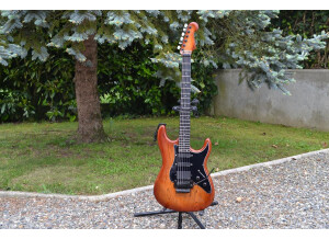 Valley Arts Guitars STANDARD PRO (59037)