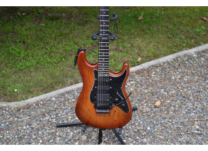 Valley Arts Guitars STANDARD PRO (9251)