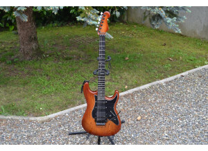 Valley Arts Guitars STANDARD PRO (87531)