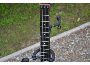 Valley Arts Guitars STANDARD PRO (99039)