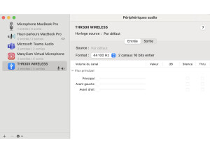 Yamaha THR30II Wireless (26093)