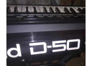 D50 aefv rear panel brand