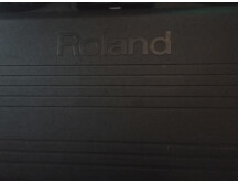 D50 FlyCase Roland