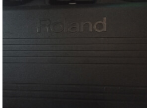 D50 FlyCase Roland