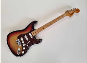 Fender Stratocaster [1965-1984] (5970)