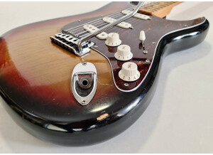Fender Stratocaster [1965-1984] (39390)
