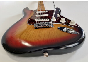 Fender Stratocaster [1965-1984] (4563)