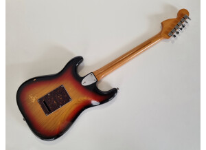 Fender Stratocaster [1965-1984] (16464)
