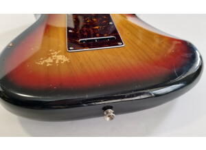 Fender Stratocaster [1965-1984] (32461)