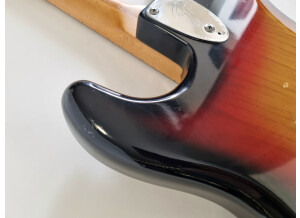 Fender Stratocaster [1965-1984] (15906)