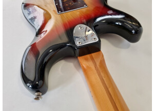Fender Stratocaster [1965-1984] (8073)