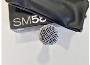 Shure SM58SE