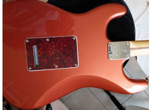 Fender Player Plus Stratocaster (95463)