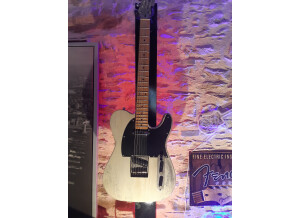 Télécaster relic (1)