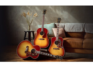 Gibson Hummingbird Standard Rosewood (2024)