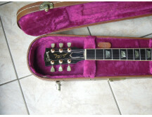 Gibson Les Paul 40th anniversary (46071)