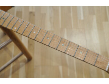 Fender Special Edition Lite Ash Telecaster (84552)