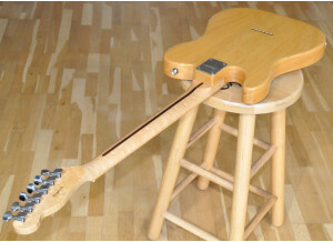 Fender Special Edition Lite Ash Telecaster (9750)