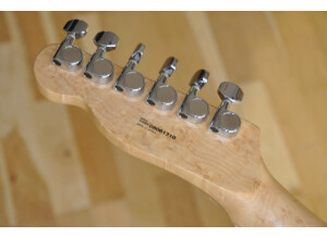 Fender Special Edition Lite Ash Telecaster (6828)