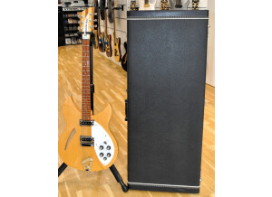 Rickenbacker 330 (10149)
