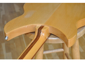 Rickenbacker 330 (14275)