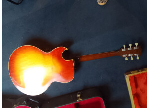 Gibson ES-175 D (1967)