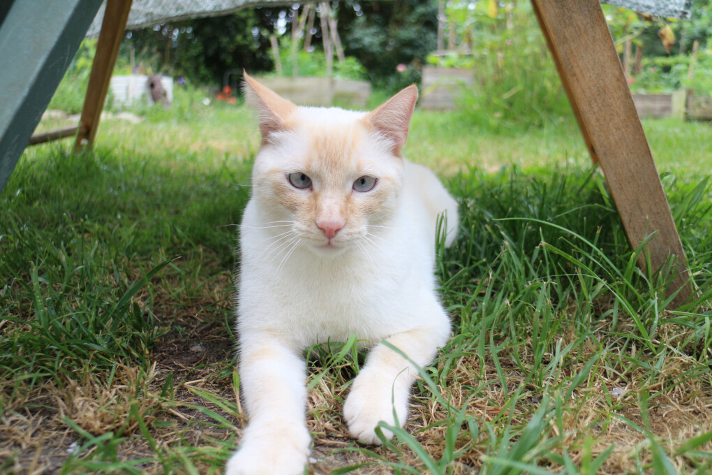 6047512.jpg 6047512.jpg