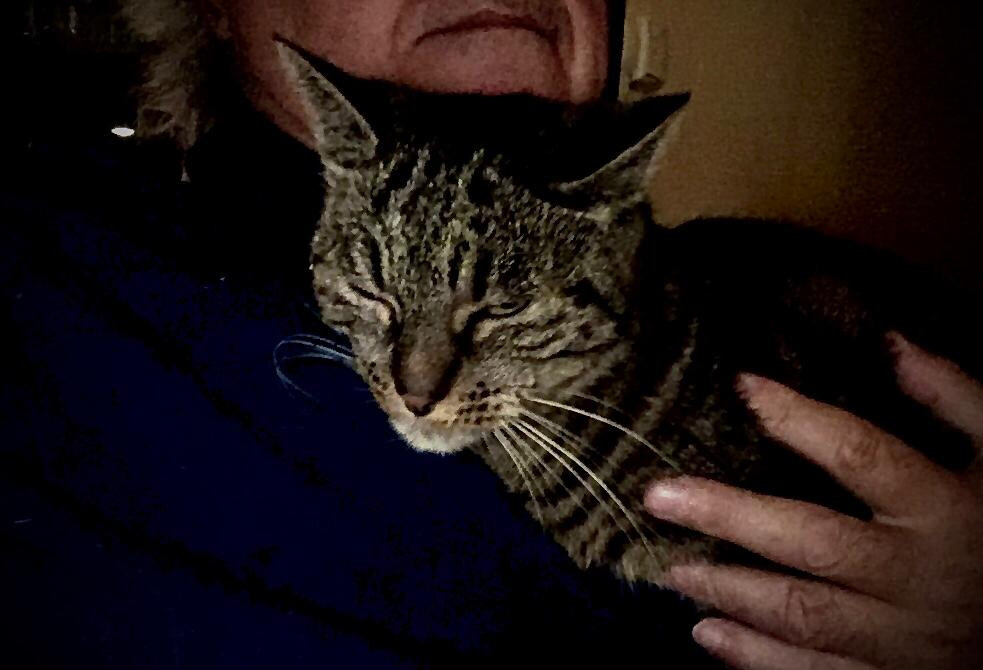 6047515.jpg 6047515.jpg