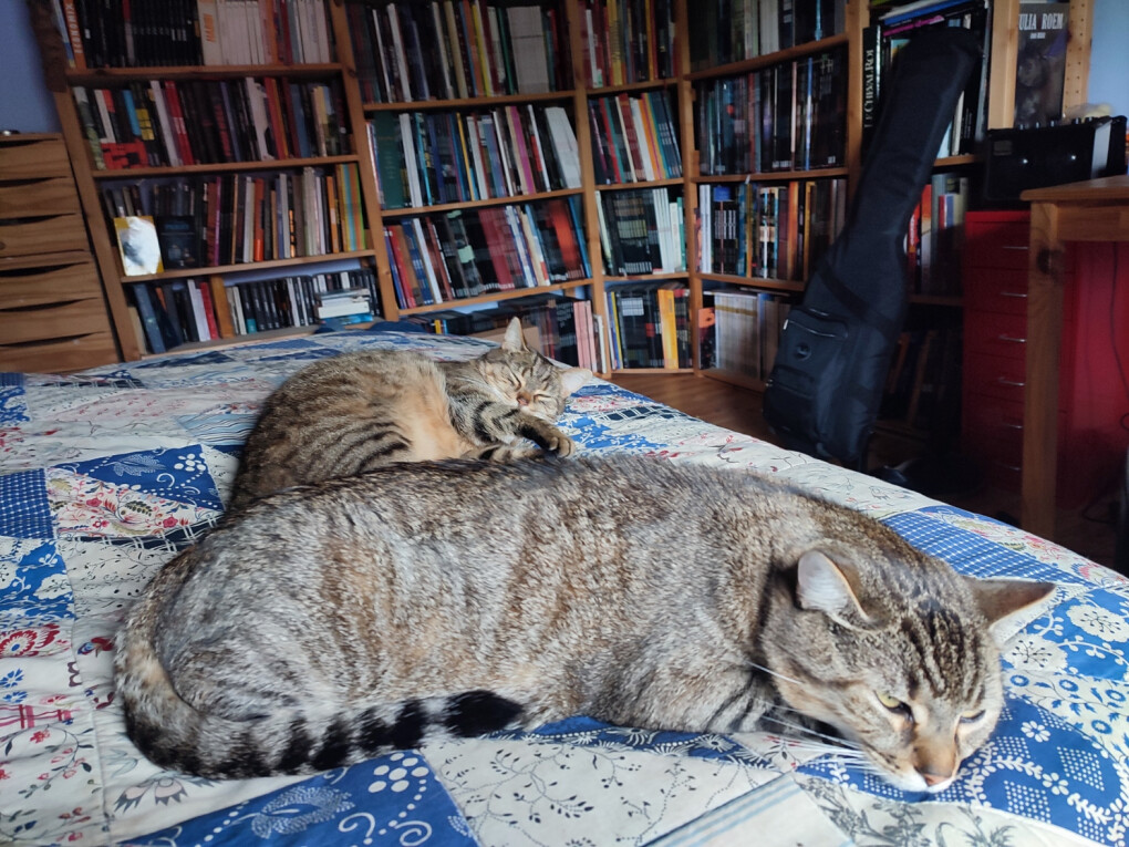 6047949.jpg 6047949.jpg