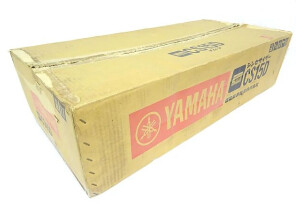 Yamaha CS15 D