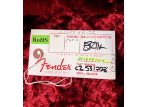 Fender Custom Shop '59 Heavy Relic Telecaster (68794)