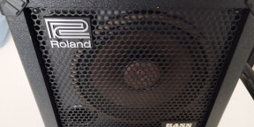 Roland cube bass 30 cb30
