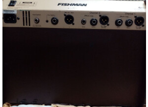 fishman 10