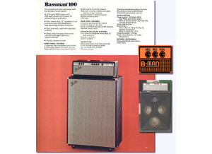 Fender Bassman 100 (Silverface) (80412)