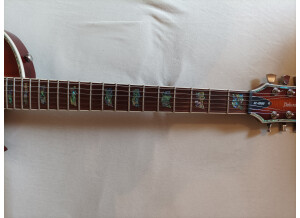 Guitare LTD Deluxe EC-1000FM Amber Sunburst (3)