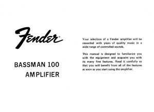 Fender Bassman 100 (Silverface) (80459)