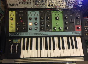 Moog Music Grandmother (53648)
