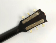 Gibson ES-125 (75670)
