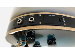 PRS SE Hollowbody II Piezo (50573)