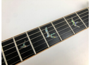 PRS SE Hollowbody II Piezo (18971)