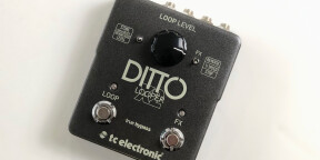 TC Electronic Ditto X2