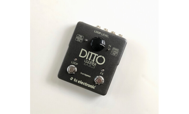 TC Electronic Ditto X2 (85415)