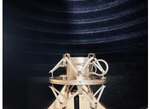 Aston Microphones Halo (55625)