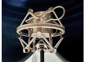 Aston Microphones Halo (19969)